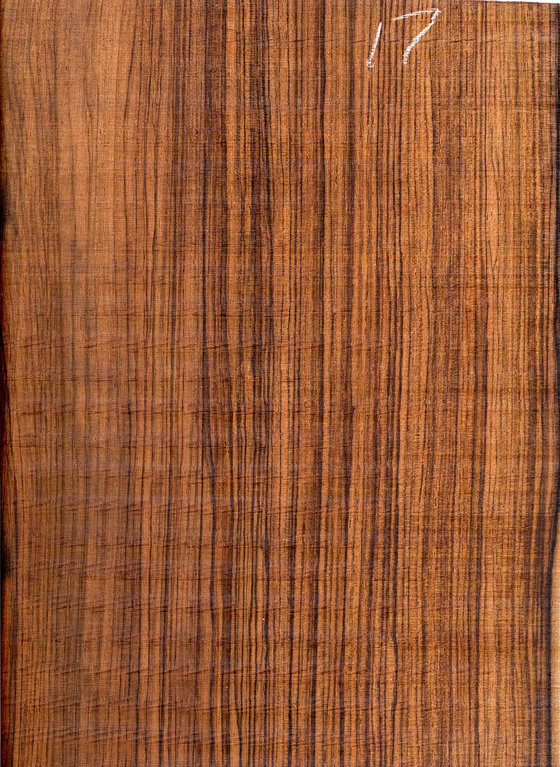 Brazilian Rosewood set 17